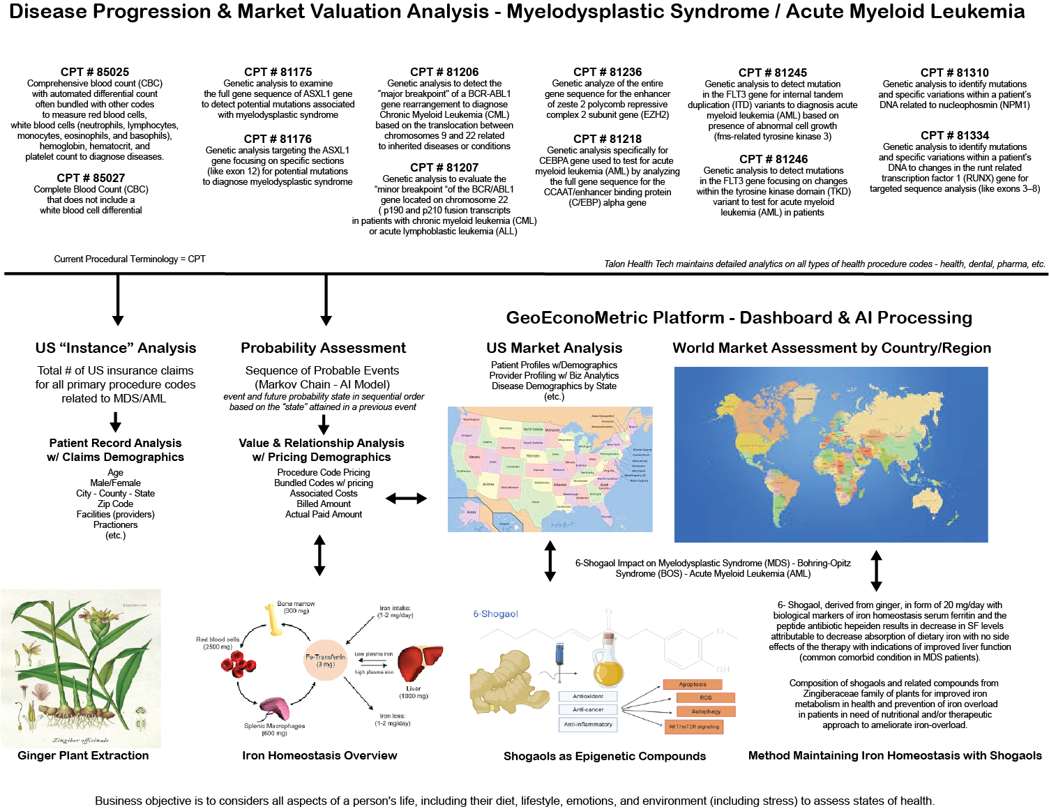 Decision Framework AI Development